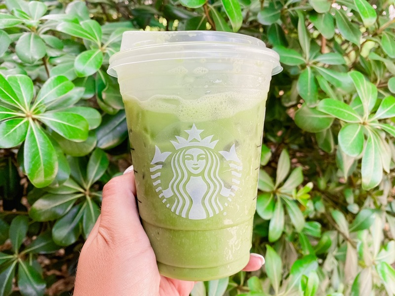 Starbucks Nutrition Menu with Prices